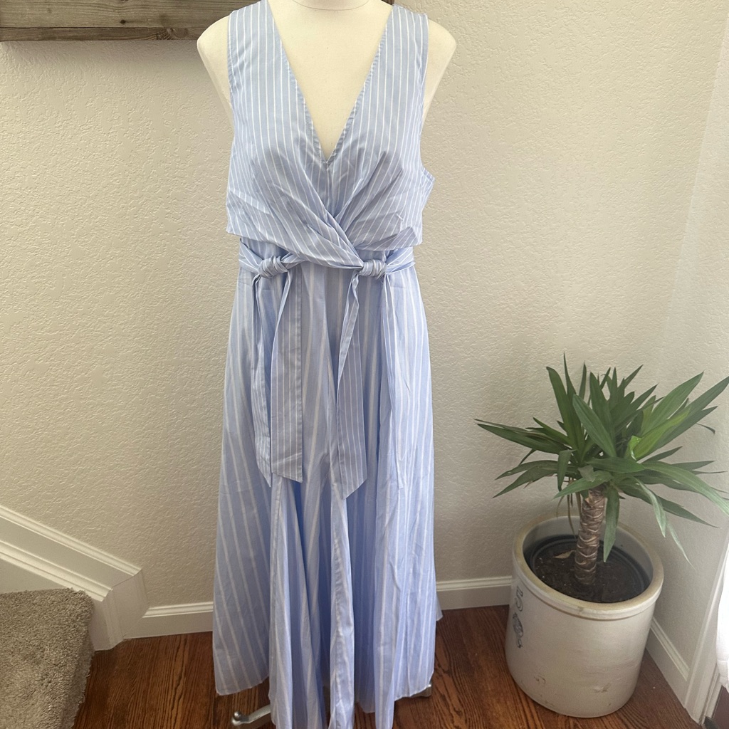 La Ligne Gabrielle Light Blue Striped Maxi Dress Ladies Large Nwt